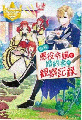 动漫美女视频《幻夜歌姬》舞台演出画面